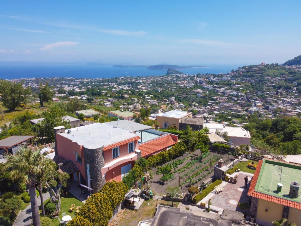 Villa Stefania Barano d'Ischia Exterior photo
